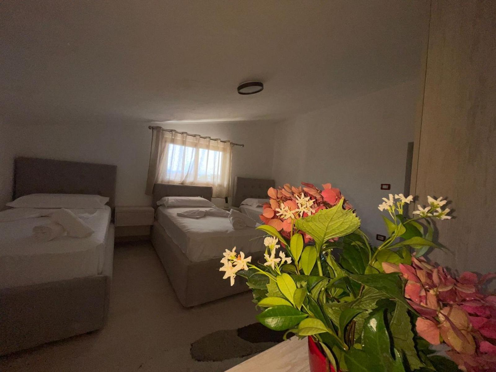 Prela'S Rooms Shkoder Bagian luar foto