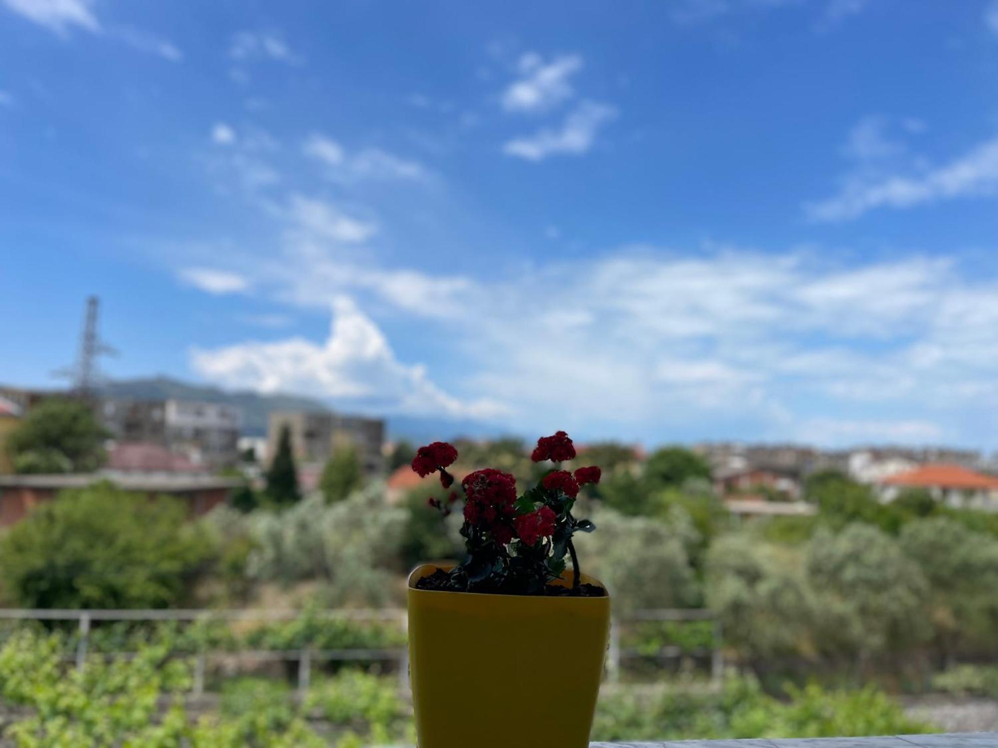 Prela'S Rooms Shkoder Bagian luar foto
